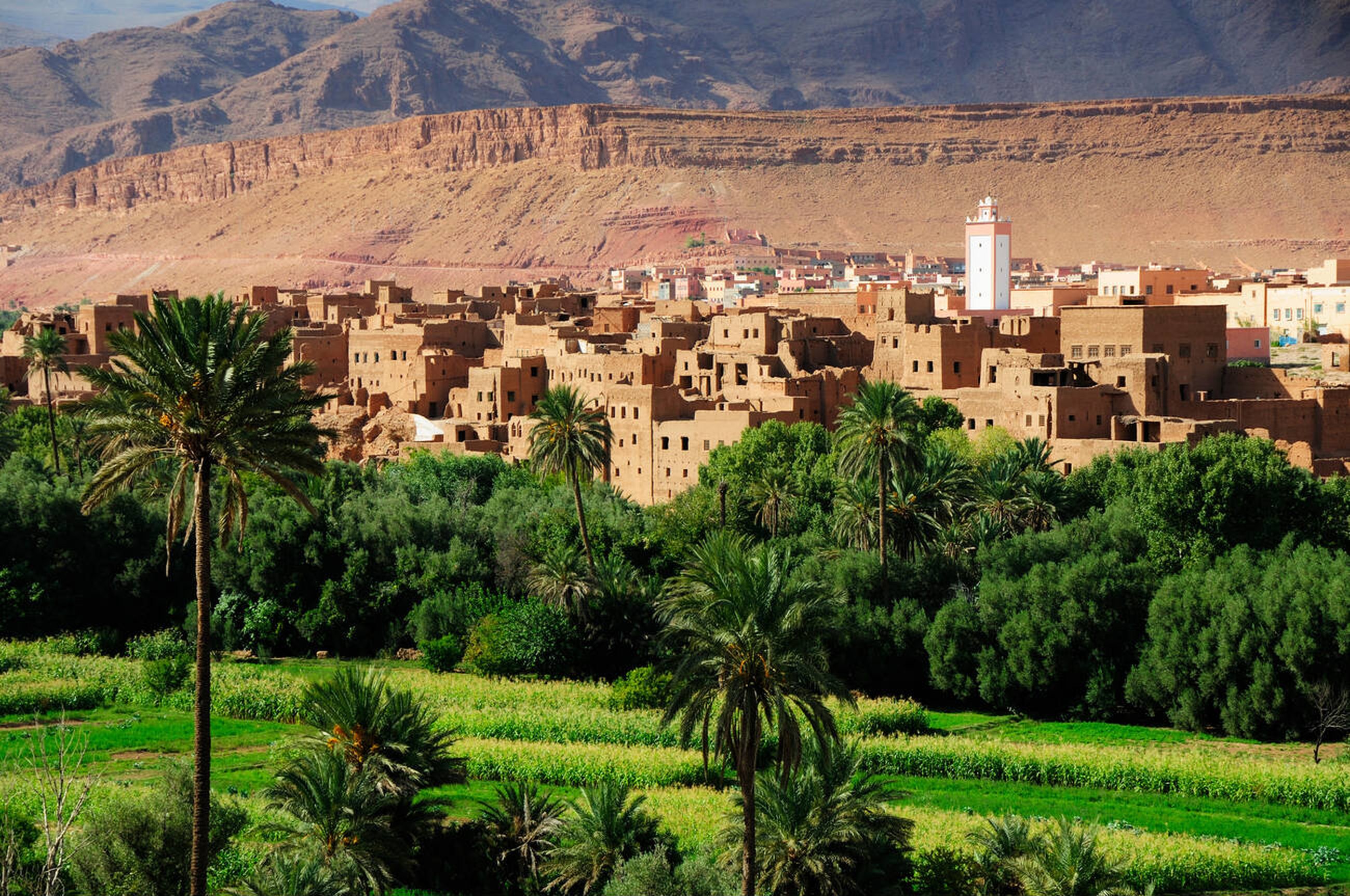 Downpic.cc-image333561200